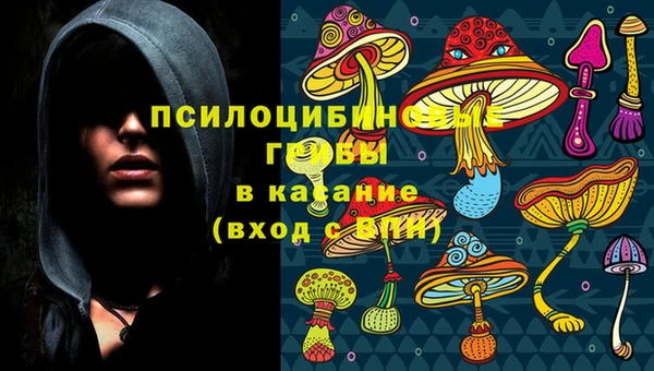 тгк Рославль