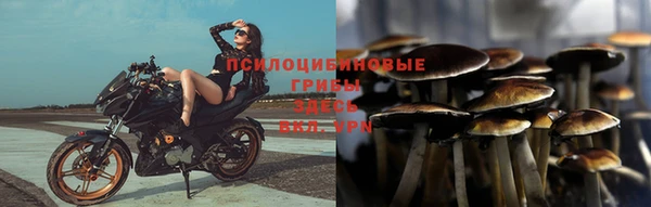 тгк Рославль