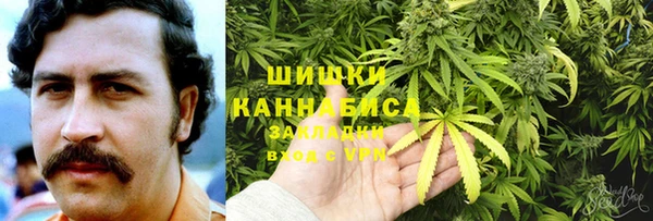 тгк Рославль