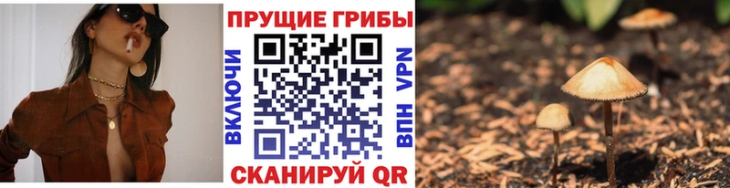 Галлюциногенные грибы MAGIC MUSHROOMS Тутаев